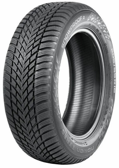 Шина Nokian Tyres (Ikon Tyres) Snowproof 2 205/55R16 91T