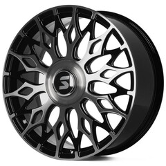 Sv667-Cs442
